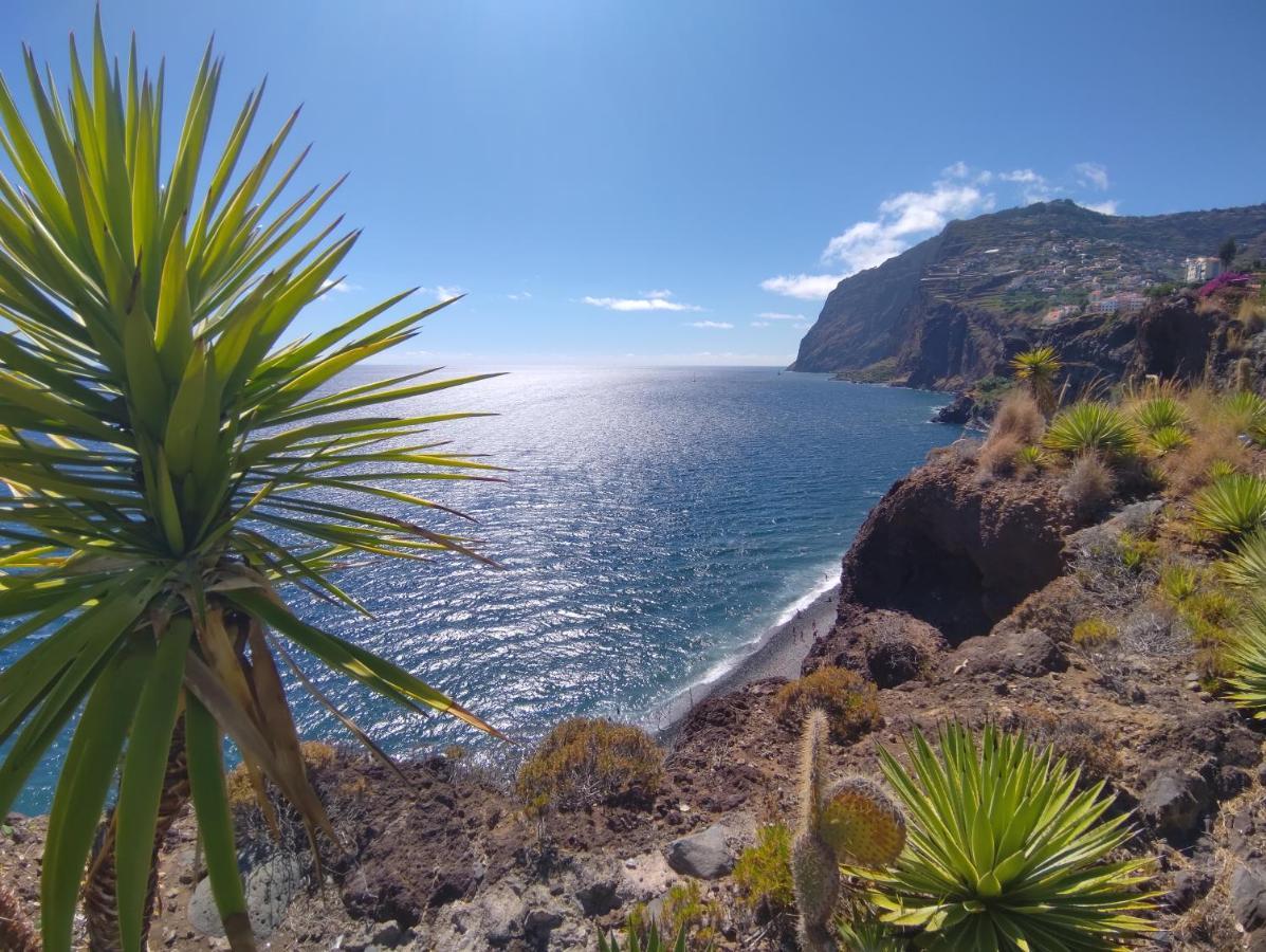 Appartamento Attic Bay Câmara de Lobos Esterno foto